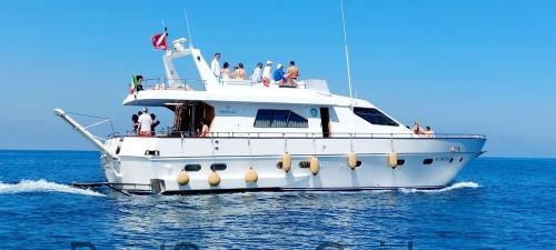 Maiora 60 fiche technique et avis
